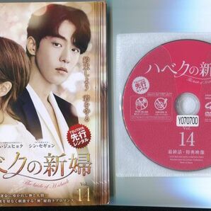 ●A3430 R中古DVD「ハベクの新婦」全14巻【韓国/吹替無】ケース無 ナム・ジュヒョク/シン・セギョン レンタル落ちの画像1