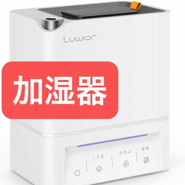 加湿器 卓上 除菌加湿器 第二代 Luwior 電解水除菌 超音波加湿器 大容量 4L 二つ除菌モード 恒湿機能 28dB極静音