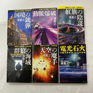 濱嘉之 文庫 6冊　1冊難あり　警視庁公安部・片野坂彰シリーズ 国境の銃弾／動脈爆破／紅旗の陰謀/群狼の海域/天空の魔手・他1冊 電光石火