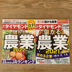 週刊ダイヤモンド ２０２２年５月２８日号 （ダイヤモンド社）