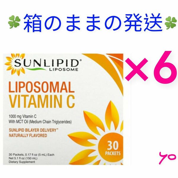 SunLipid サンリピド リポソームビタミンC 各5ml×30包×6箱