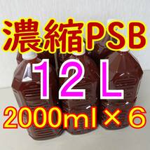 送料無料 １２L　濃縮ＰＳＢ（光合成細菌）２０００ｍｌ×６本_画像1