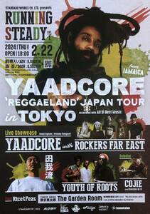 YAADCORE ‘REGGAELAND’ Japan Tour in TOKYO 2024年 チラシ 非売品