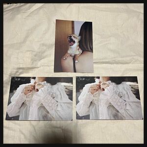 長澤メイさん写真展「Sammy」未使用ポストカード3枚セット