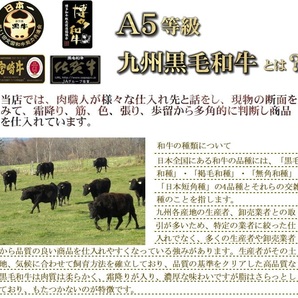 九州産黒毛和牛 日本品質の極み A5等級 約1kg前後 サーロインブロック 量り売り  の画像4