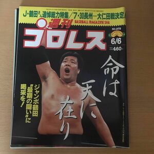 週刊プロレス NO.979 2000年6月6日号