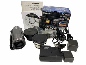 Panasonic パナソニック HDC-TM750 デジタルハイビジョンカメラ ビデオカメラ LD-20T VW-W4907H レンズ付き 動作確認済