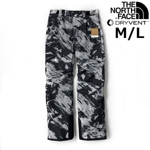 1円～!売切!【正規新品】THE NORTH FACE◆FREEDOM INSULATED PANTS スノーパンツ ロング US限定 撥水 スノボ スキー(M/L)黒 総柄 190110-85