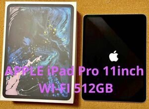 iPad Pro 11 インチ　WI-FI 512GB