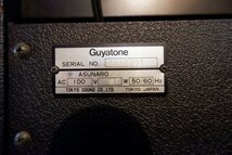 20 Guyatone FLIP 300F 真空管ギターアンプ_画像8