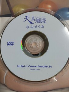 ◯正規品　美品　永山せりあ　天真爛漫　アイドルDVD