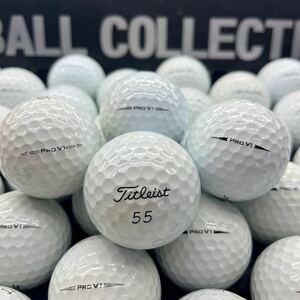 No.799【ロストボール・タイトリスト Titleist ・PRO V1・ABランク「マジック、ロゴなし）・50球】