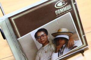 【送料無料】One Day It'll All Make Sense/COMMON De La Soul,Q-Tip,Erykah Badu,Lauryn Hill