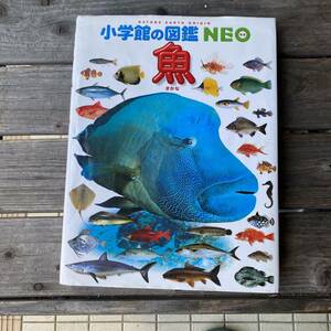  魚 小学校の図鑑 NEO 2012年初版第17刷発行 小学館 図鑑 写真 魚介類 観賞魚 深海魚 コイ ドジョウ イワナ サケ ya