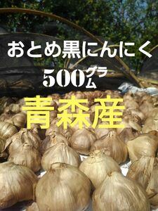 ☆青森産 送料無料☆ おとめ黒にんにく500㌘ ★福地ホワイト六片種使用★ 黒ニンニク にんにく ニンニク