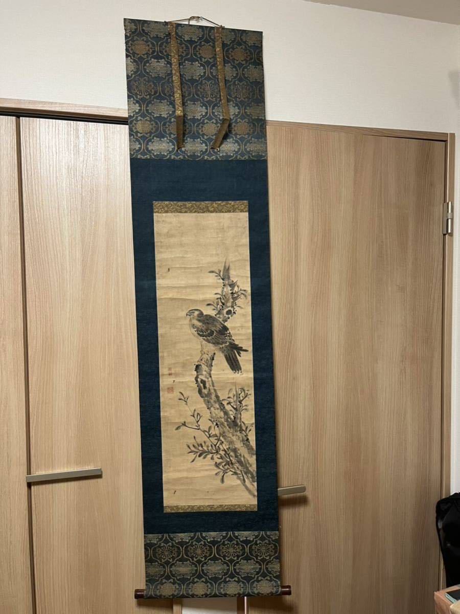 164×45, 5 Shen Nanpin Chine Période Qing Peintre Rouleau suspendu Illustration d'un faucon Signature manuscrite Milieu de la période Edo Disciple Maruyama Okyo Ito Jakuchu, peinture, Peinture japonaise, fleurs et oiseaux, oiseaux et bêtes