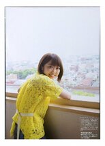 AD461 峯岸みなみ（AKB48）◆袋とじ 12ページ 切り抜き 切抜き 水着 ビキニ_画像8