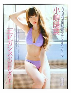 AD414 小嶋陽菜（AKB48）◆切り抜き 8ページ 切抜き 水着 ビキニ