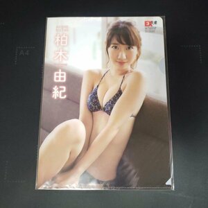 G318 柏木由紀（AKB48）◆B5クリアファイル（両面） 雑誌付録 水着 ビキニ