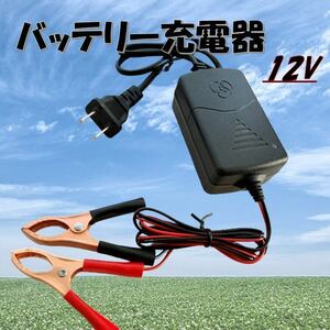 ヒッポクリップ バッテリー 充電器 バイク 12v クリップ 簡易 バッテリー充電器 オートバイ 自動車 小型 カーバッテリー 鉛バッテリー