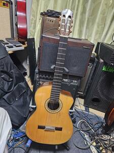 Takamine　PTG015　SAVAREZ 500CJ サドル交換等改造多数！調整済みは生音・アンプ音動画！質問欄で交渉可！