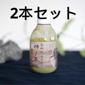 【新品未開封】日本山人参パウダー　酵素ドリンク