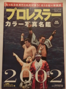 週刊プロレス ２０１９年５月２９日号 （ベースボール・マガジン社）