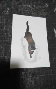 ★即決　（５）「猫のしっぽ」　オリジナル　ポストカード　絵葉書　猫　ねこ　ネコ　★送料１８０円～