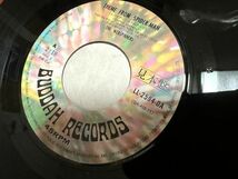 見本盤　sample盤　EP レコード盤 スパイダーマンのテーマ 1970年代/片面(自由賛歌)_画像5
