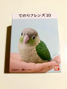 てのりフレンズ10 ウロコインコ ブルーシナモン 小鳥