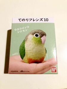 てのりフレンズ10 ウロコインコ シナモン 小鳥