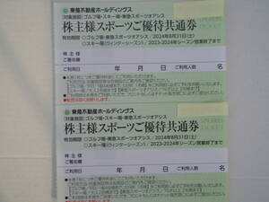 東急不動産 スポーツご優待共通券 リフト券 ２枚セット 送料63円