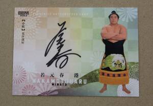 2023 year BBM issue large sumo . origin spring .60 sheets limitation serial No. entering autograph autograph card 