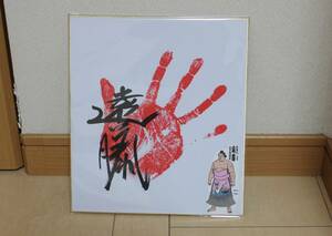 大相撲 遠藤 手形サイン色紙