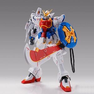 プレミアムバンダイ 限定 ＭＧ 1/100 シェンロンガンダム ＥＷ （タウヤー装備）未組立 新品