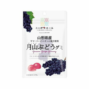 全農　ニッポンエール　山形県産　月山ぶどうグミ　40g　6袋セット 送料無料