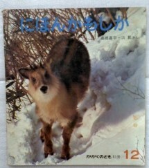 かがくのとも　81号　75年12月　にほんかもしか　　高橋喜平　浜昇　ニホンカモシカ