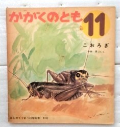 かがくのとも こおろぎ 1972　 小林勇 　44号
