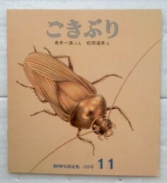 月刊かがくのとも 1984年11月号 ごきぶり 奥井一満　 松岡達英