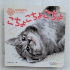 こちょ　こちょ　こちょ なで　なで　なで (ゆびあそびフォトえほん) 内山　晟 2冊セット