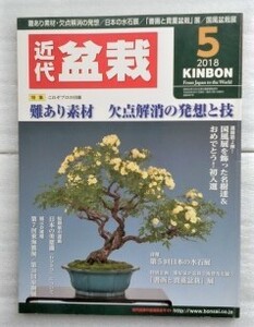 月刊近代盆栽 2018年5月号 難あり素材