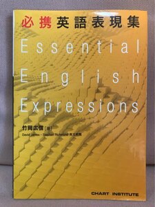 ■ 必携英語表現集 ■ ※赤シート付!　竹岡広信　数研出版株式会社　送料195円　大学受験 大学入試 