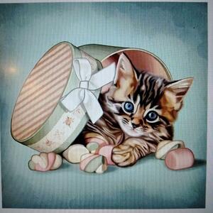 Art hand Auction [Diamond Art] Kit de cuentas de caja de regalo de gato para pintar para principiantes, de coser, bordado, bordado, kit de creación