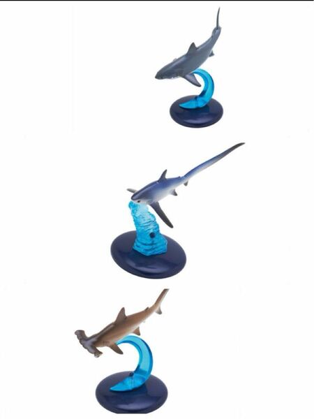 ネイチャーテクニカラー サメ 3種