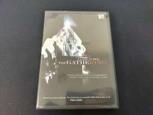 【D143】THE GATHE RING　ザ・ギャザリング　Jamie Daws　ジェイミー・ダウェス　カード　DVD　マジック　手品