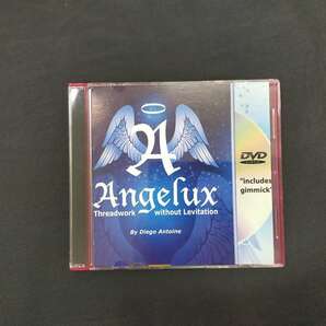 【M111】Angelux アンジェラックス Diego Antoine コイン DVD マジック 手品の画像1