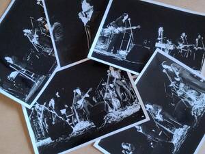 ザ・タイガース 日劇最後のウエスタン・カーニバルでのステージ白黒写真(1981年) 5枚