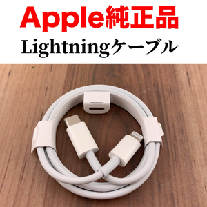 iPhone 充電器 純正 タイプCライトニングケーブル Apple正規品