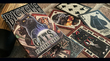 即決■Bicycle Cats Playing Cards■バイシクル■_画像4