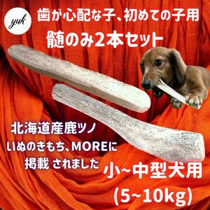 【24時間以内発送】小~中型犬用　髄のみ　2本セット　鹿角初めてな子　北海道産エゾ鹿の角　犬のおもちゃ